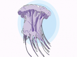 ▷ Jellyfish: Animated Images, Gifs, Pictures & Animations ...