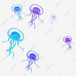 Colorful Jellyfish Decorative Pattern, Colorful, Gradient ...