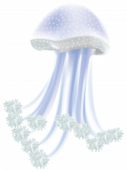 Jellyfish PNG Transparent Clip Art Image | Gallery Yopriceville ...