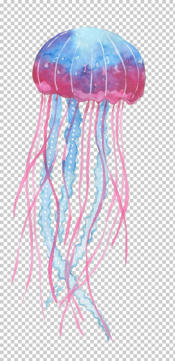 Box jellyfish Invertebrate Deep sea creature, pink cartoon ...