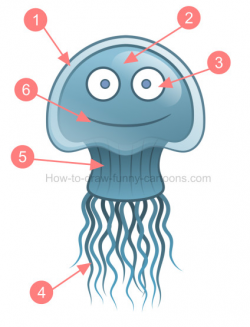 How to draw a jellyfish clipart