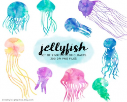 Watercolor jellyfish clipart, jellyfish watercolor clipart, jellyfish  digital images, commercial use, jellyfish png, ocean clip art, painted