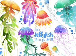 Watercolor Jellyfish Clipart By Digitalartsi | TheHungryJPEG.com