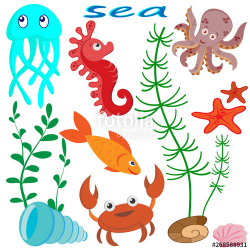 set of images of marine life : jellyfish, seahorse, fish ...