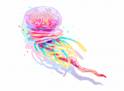 Jellyfish Png Clipart - Medusa Arco Iris Free PNG Images ...