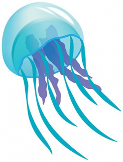 29+ Jellyfish Clipart | ClipartLook