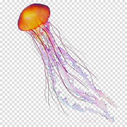 Man Cartoon clipart - Jellyfish, transparent clip art