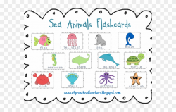 Jellyfish Clipart Sea Animal - Sea Creatures Mind Map - Png ...