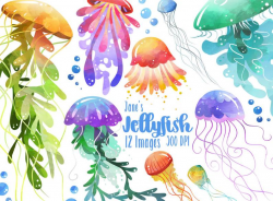 Watercolor Jellyfish Clipart - Jellyfish Download - Instant Download - Sea  Creatures - Marine Life - Bubbles - Commercial Use