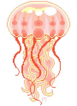 transparent jellyfish | Tumblr