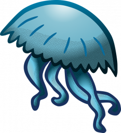 Jellyfish PNG images free download