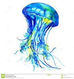 Image result for watercolor jellyfish clipart | Art in 2019 ...