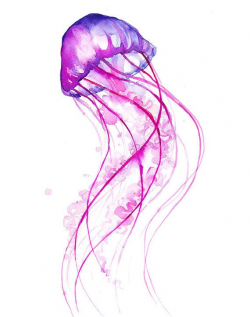 Pink Jellyfish Watercolor Print - Fun - Colorful Art ...