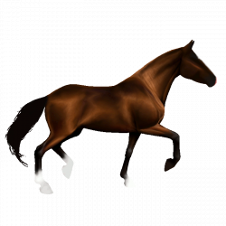 Animated Horses (36+) Desktop Backgrounds