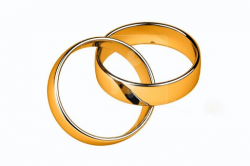 Free Images Wedding Rings, Download Free Clip Art, Free Clip ...