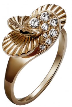 Elegant Golden Ring PNG Clipart - Best WEB Clipart