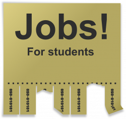 Summer Job Search For College Students | Mysummerjpg.com