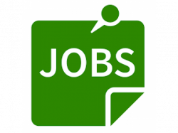Hiring Male/Female Candidates For Online Promotion Hamirpur ...