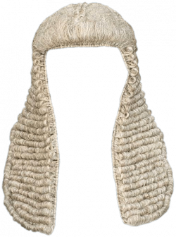 Wig Judge transparent PNG - StickPNG
