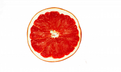Grapefruit Halved PNG Image - PurePNG | Free transparent CC0 PNG ...
