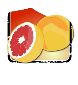 Grapefruit IPL | Lolo Peak Brewing Company