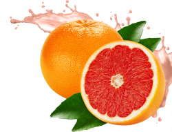 Ruby Grapefruit | Liqui Fruit