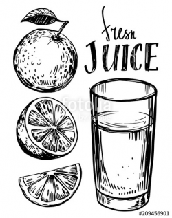 Orange juice. Hand drawn sketch converted to vector