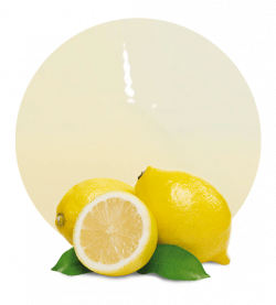 Lemon Juice Clip art - lemon 536*595 transprent Png Free Download ...