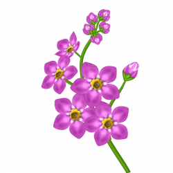 Image - Pink Flower Transparent Clipart.png | Animal Jam Clans Wiki ...