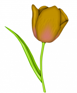 Tulip-Graphics