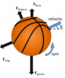 Forces acting on a basketball in flight | Physics of Basketball