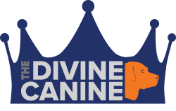 June 2018 dogs of the month! Benson & Winnie! — The Divine Canine