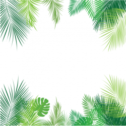 Palm Leaves PNG Images | Vectors and PSD Files | Free Download on ...