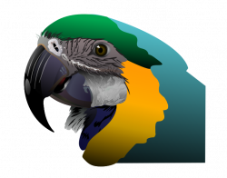 Toucan clipart free download on kathleenhalme