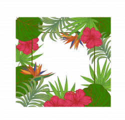 Leaf Arecaceae Tree Wallpaper - Palm leaves border 2362*2272 ...