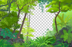 Jungle Euclidean Tropical Rainforest PNG, Clipart, Biome ...