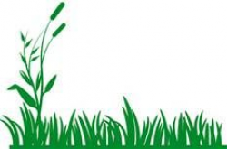 tall grasses in the jungle clip art - Yahoo Image Search ...