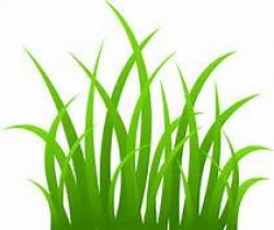 tall grasses in the jungle clip art - Yahoo Image Search ...