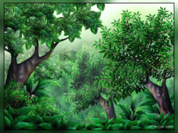 Jungle Scene Clipart | Free Images at Clker.com - vector ...