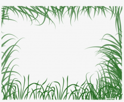 Jungle Clipart Natural Vegetation - Grass - Free Transparent ...