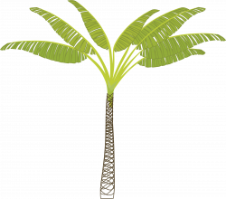 Clipart - palm-tree