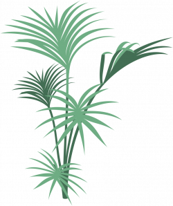 28+ Collection of Jungle Plants Clipart Png | High quality, free ...