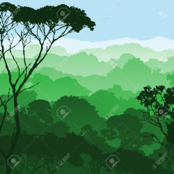 Rainforest Canopy Clipart
