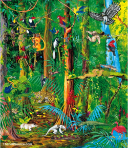 Top rainforest clip art free clipart image 5 - ClipartPost