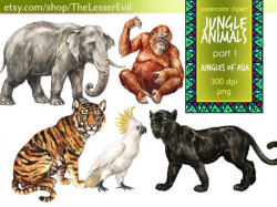 Jungle Animals Clipart, Digital Watercolor Tropical Animals of Asia Clip  Art, Hand-painted Realistic Stock Illustration, Commercial use