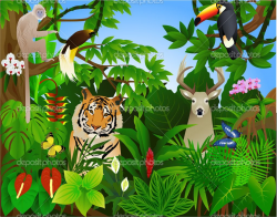 selva tropical illustrations - Google Search | jungle art ...