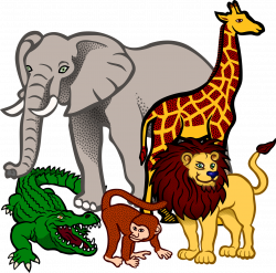 Fauna of Africa Baby Jungle Animals Clip art - rhino 1280*1269 ...