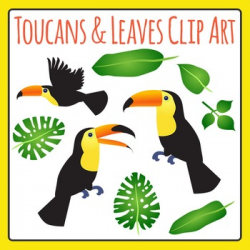 Toucan Birds and Jungle Leaves Clip Art for Commercial Use