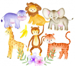 Jungle animals clipart, Watercolor animals clip art, Jungle clipart, Animal  illustration, Elephant clipart, Safari Clipart, Zoo Clipart