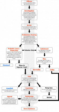 Criminal Court System | Court Process Flow Chart | homework ...